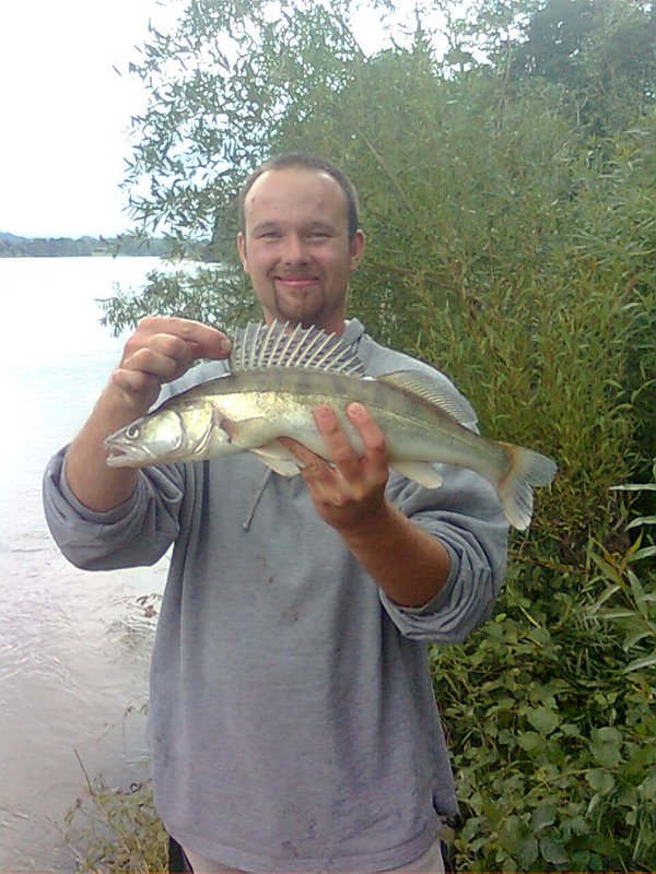 Konrad